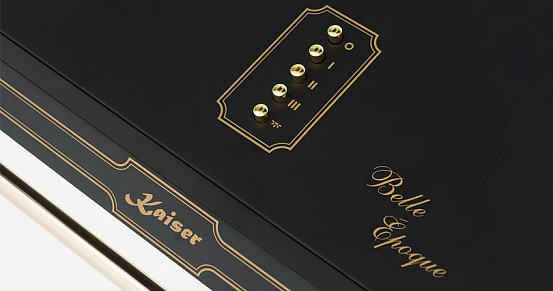 Купольная вытяжка Kaiser A 9416 BE preview 2